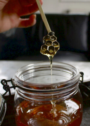 Honningske Gitte Bjorn