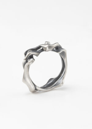 Puzzles - Impuzzle - Ring