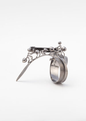 Six-legged Friends - Teamwork - Ring