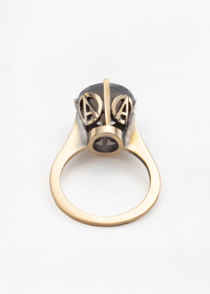 Some Values Never Fade - Anarchy - Ring