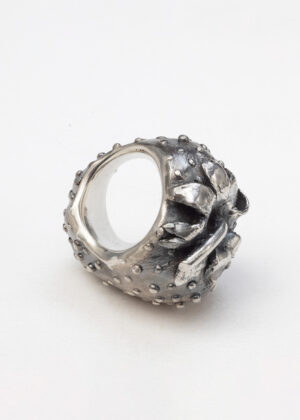 Strawberry Fields - Strawberry III - Ring