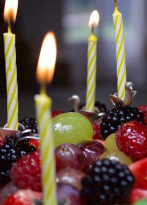 Svane Lagkagelysholdere Gitte Bjorn 2