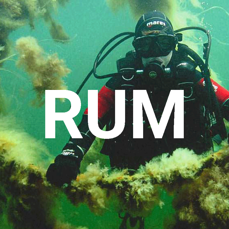 Prolapse Identitet Valg Vilkaar Gitte Bjorn